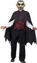 Picture for category Vampire & Evil Monster Costumes