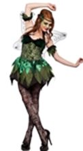 Picture for category Fairy Costumes