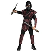Picture for category Ninja Costumes