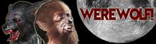 Picture for category Babies, Kids & Youth Werewolf Costumes