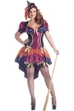 Picture for category Sexy Plus Size Costumes