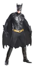 Picture for category Batman Costumes