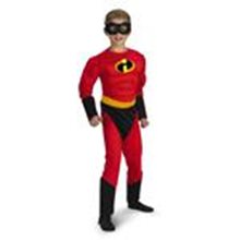 Picture for category The Incredibles Costumes