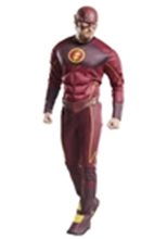 Picture for category The Flash Costumes