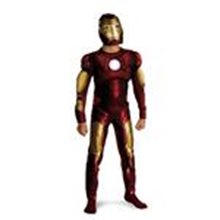 Picture for category Iron Man Costumes