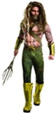 Picture for category Aquaman Costumes