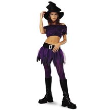 Picture of Wicked Witch Adult Womens Costume