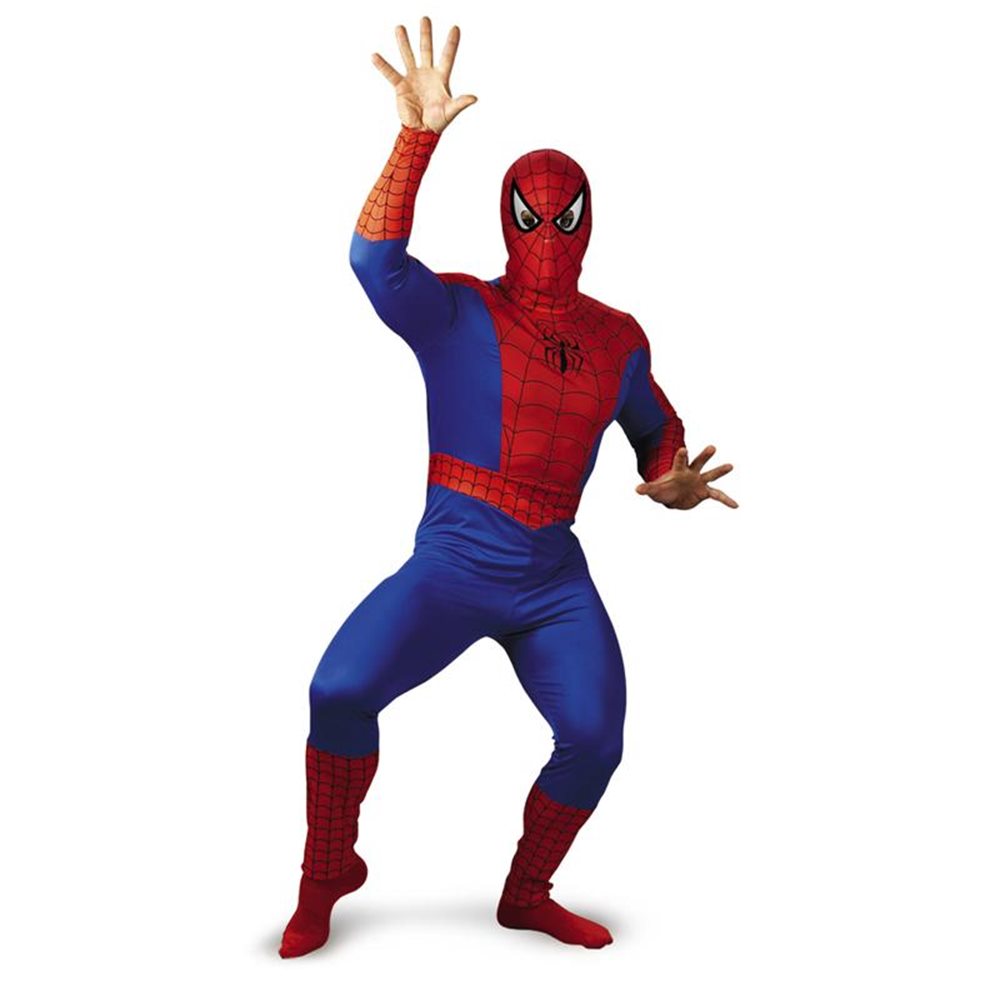 Picture of Marvel Spider-Man Adult Costume