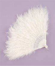 Picture of White Feather Fan