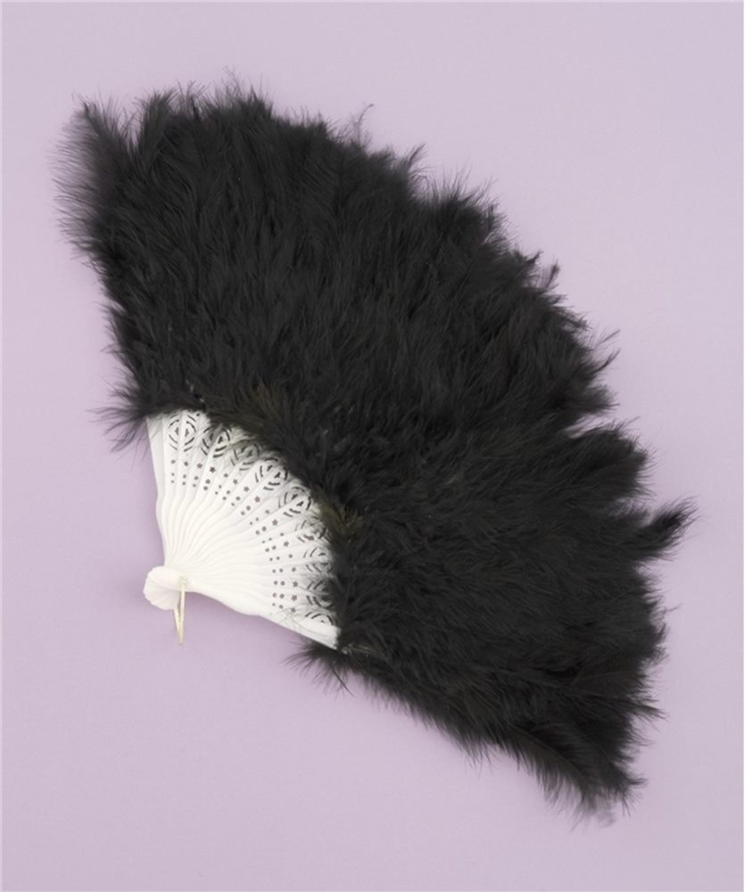 Picture of Feather Fan Black
