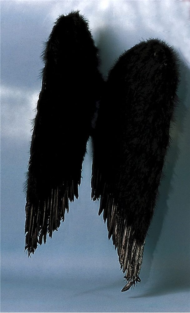 Picture of Feather Wings 22 Inches Black