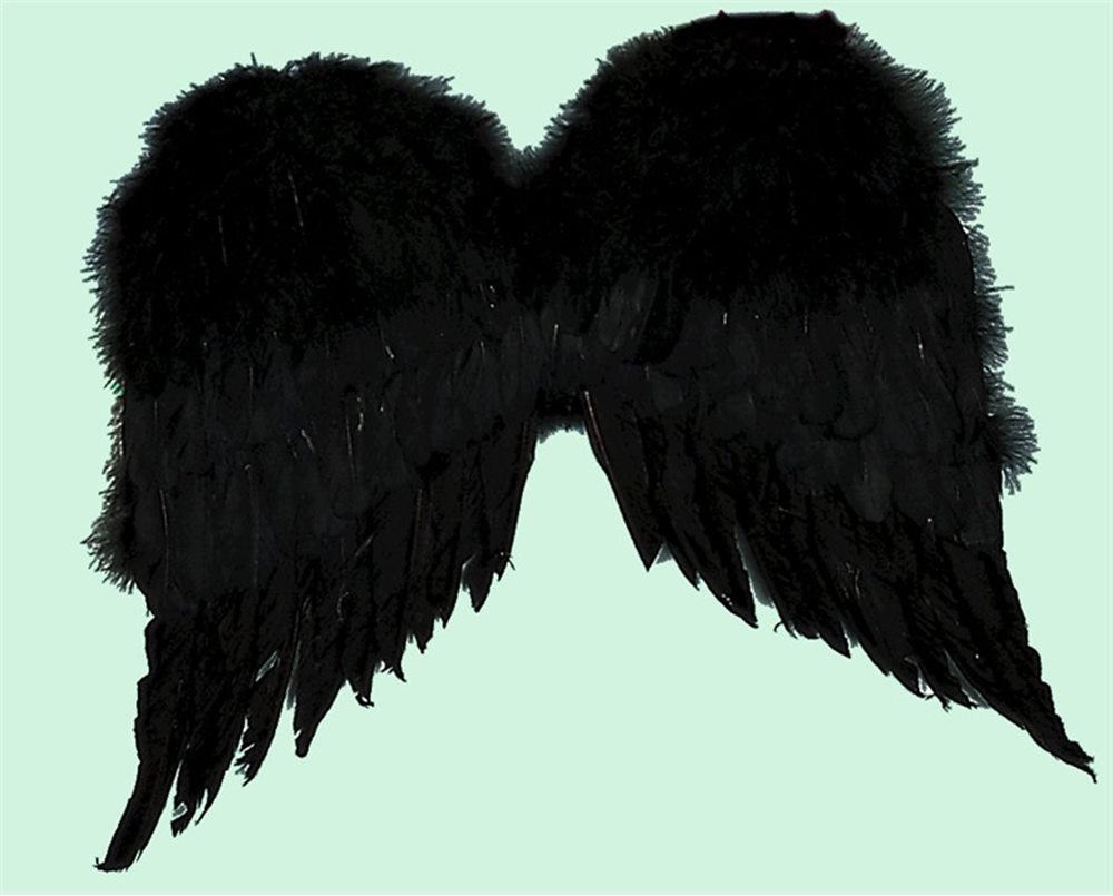 Picture of Feather Wings 36 Inches Black