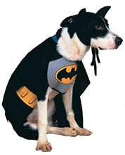 Picture of Batman Dog Costume