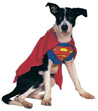 Picture of Superman Dog Costume