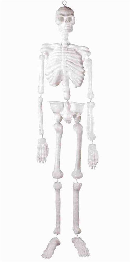 Picture of Glow in the Dark Life-Sized Skeleton Prop 4.5ft