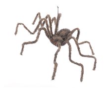 Picture of Jumbo Poseable Spider