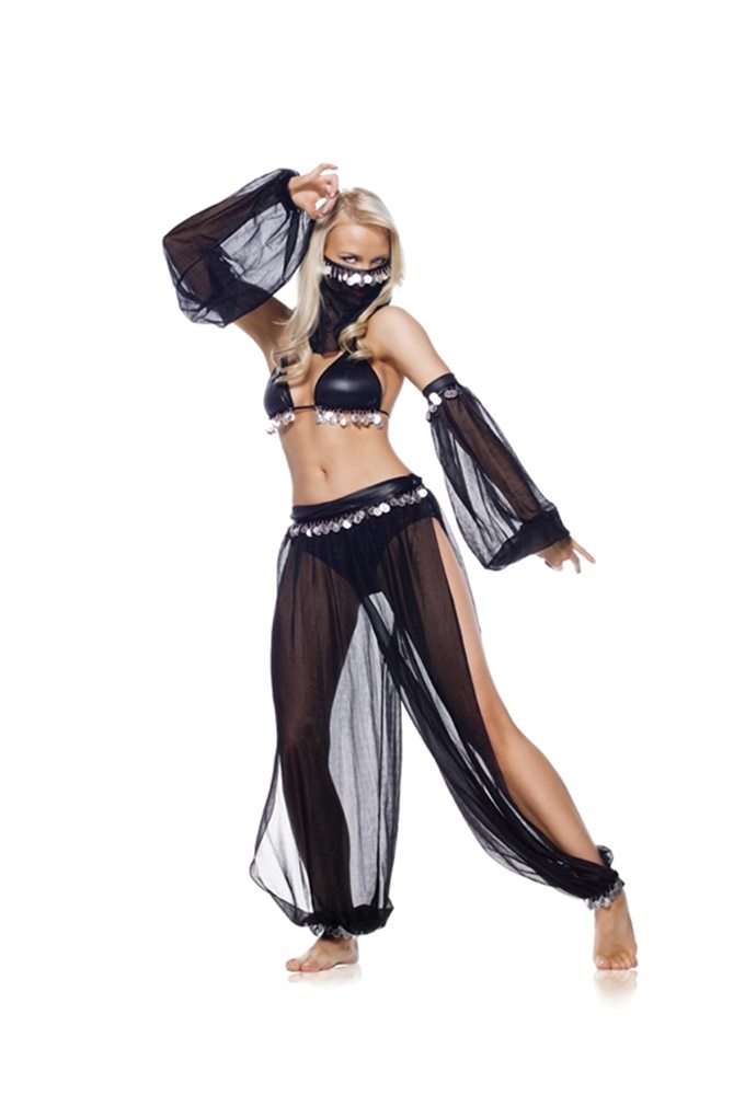 Picture of Arabian Dancer 5pc Adult Costume