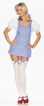Picture of Dorothy Adult 4pc Costume