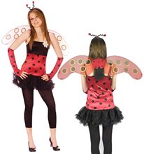 Picture of Lovely Lady Bug Junior Costume