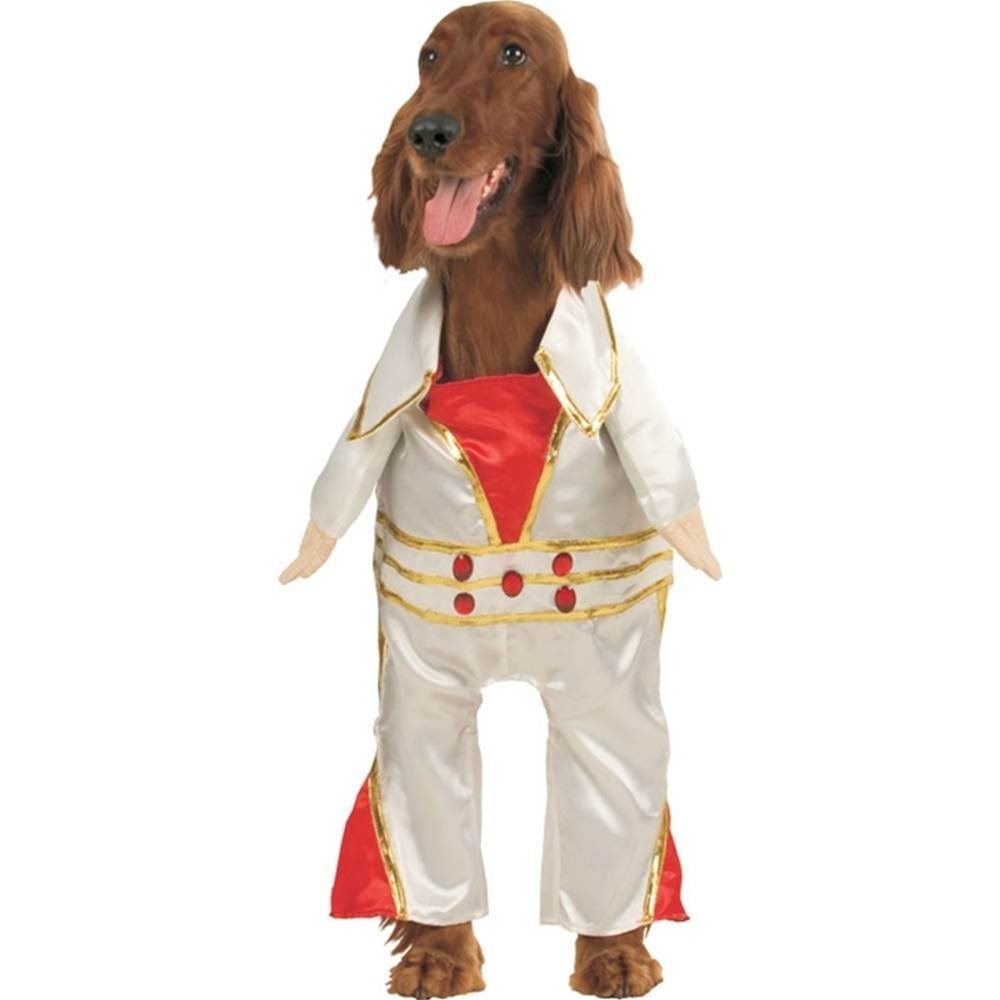 Picture of Rock Star Pet Costume