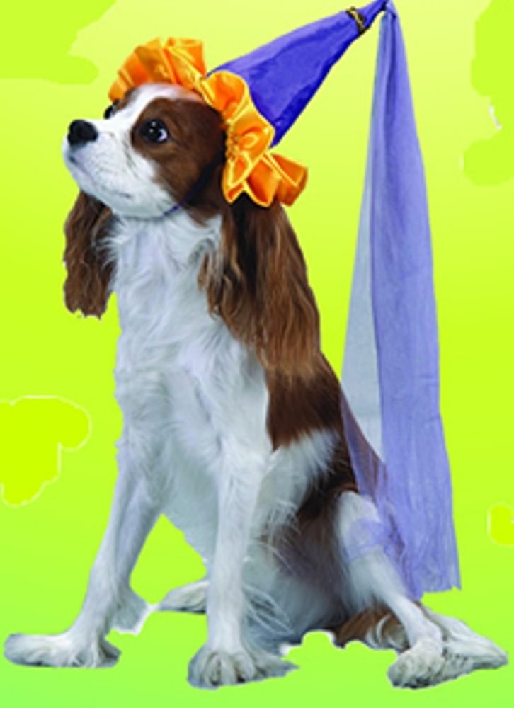 Picture of Lil Princess Pet Costume