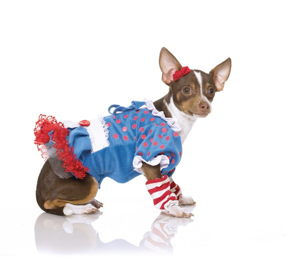 Picture of Rag Dog Pet Costume