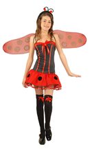 Picture of Lady Bug Girls Costume