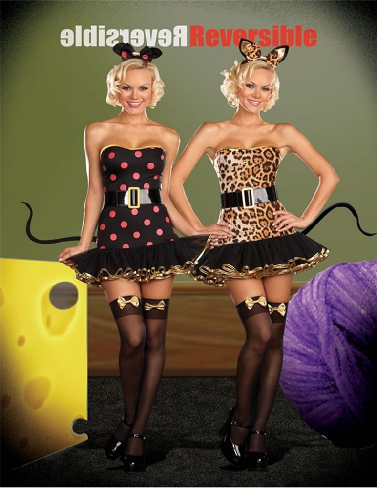 Picture of When the Cats Away Reversible 5pc Costume