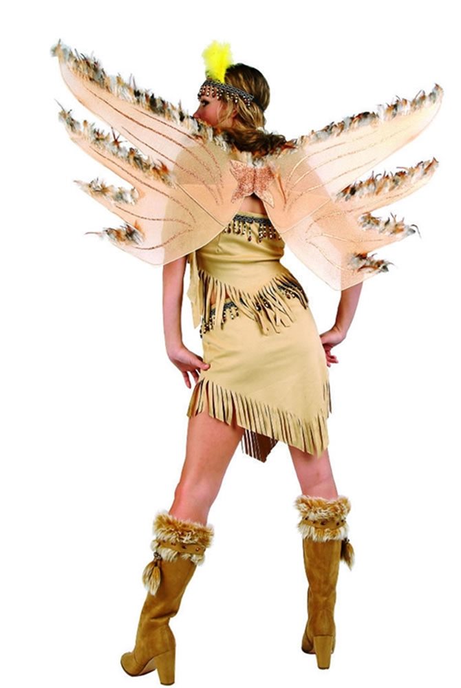 Picture of Navajo Indian Wings