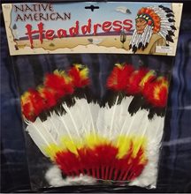 Picture of Native American Headdress