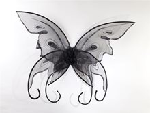 Picture of Butterfly Shimmer Adult Wings