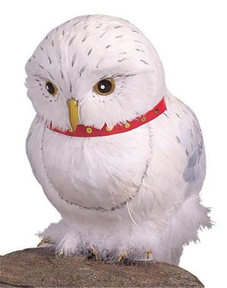 Picture of Harry Potter Hedwig Owl Prop