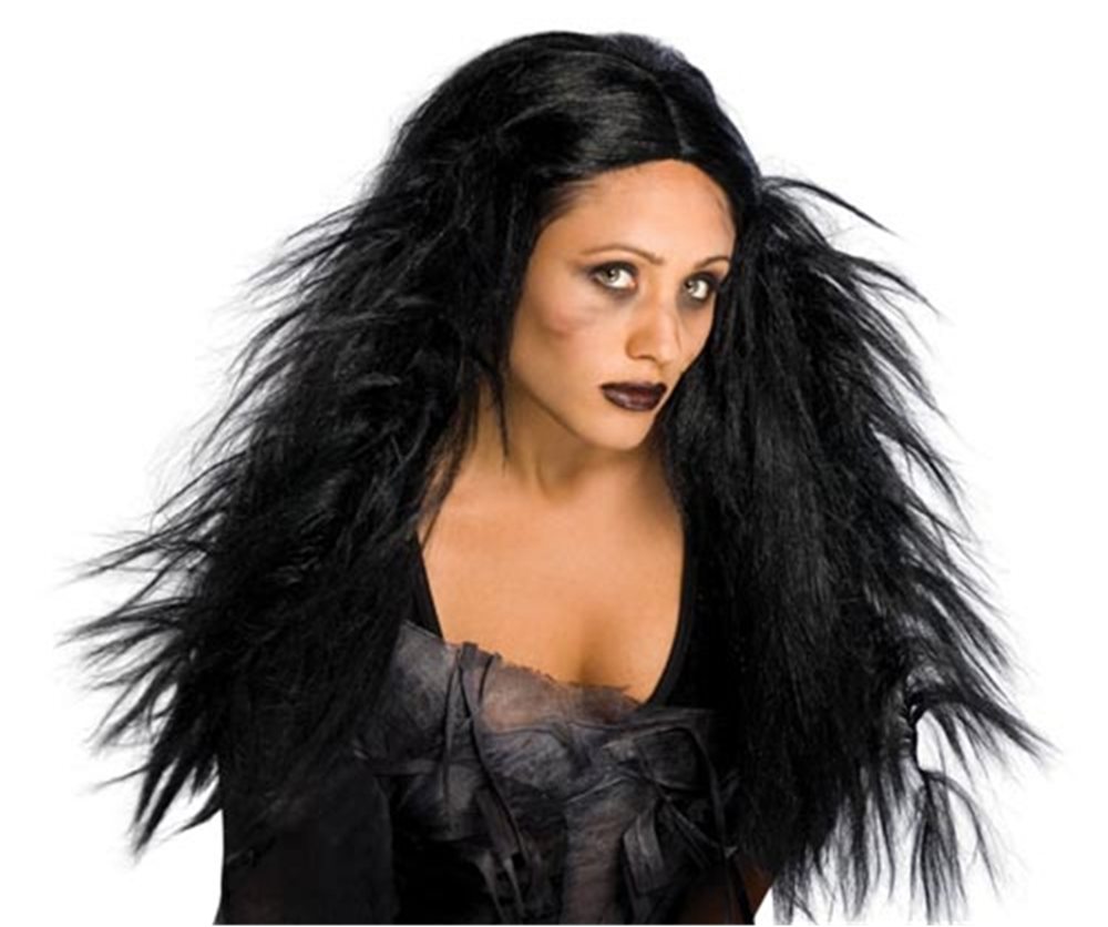 Picture of Dark Ages Adult Wig