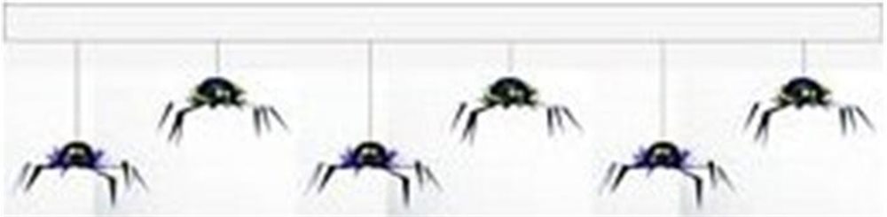 Picture of Spider Garland