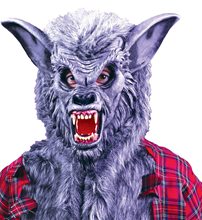 Picture of Grey Werewolf Mask
