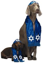 Picture of Pup Shalom Pet Costume
