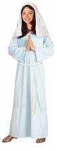 Picture of Biblical Times Mary Child Costume