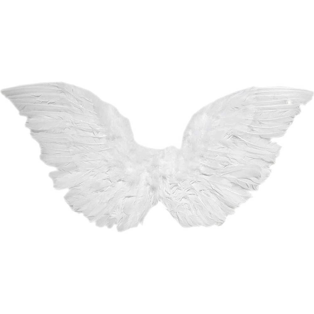Picture of Angel Wings 18in