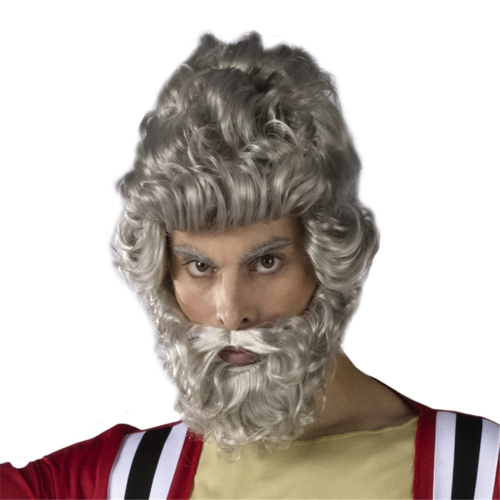 Picture of Moses Wig and Beard Set