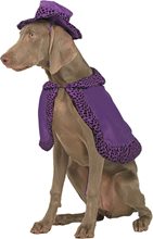 Picture of Big Daddy Purple Pet Costume