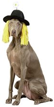 Picture of Daisy Derby Hat with Hair Pet Costume