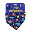 Picture of Pumpkin Pet Bandana