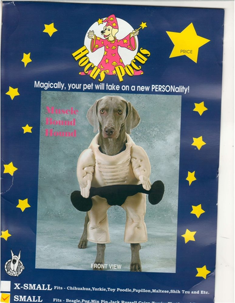 Picture of Muscle Bound Hound Pet Costume