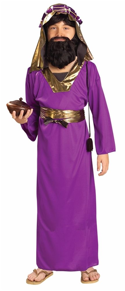 Picture of Purple Wiseman Child Costume