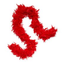 Picture of Red Feather Boa