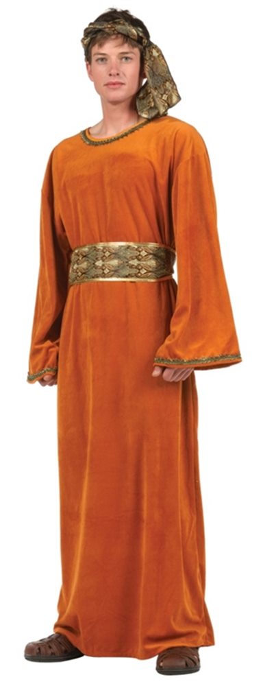 Picture of Deluxe Wiseman Adult Costume