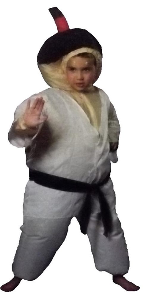 Picture of Inflatable Karate Child Costume