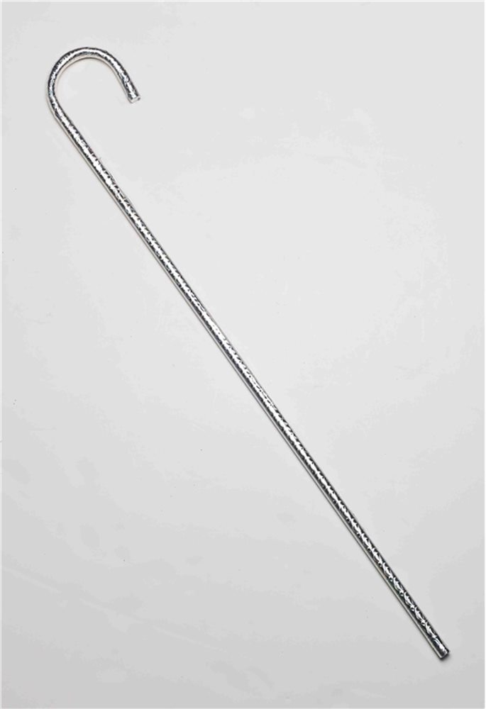 Picture of Silver Cane
