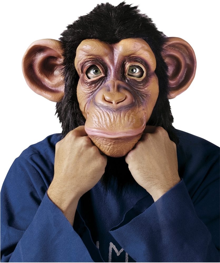 Picture of Comical Chimp Mask
