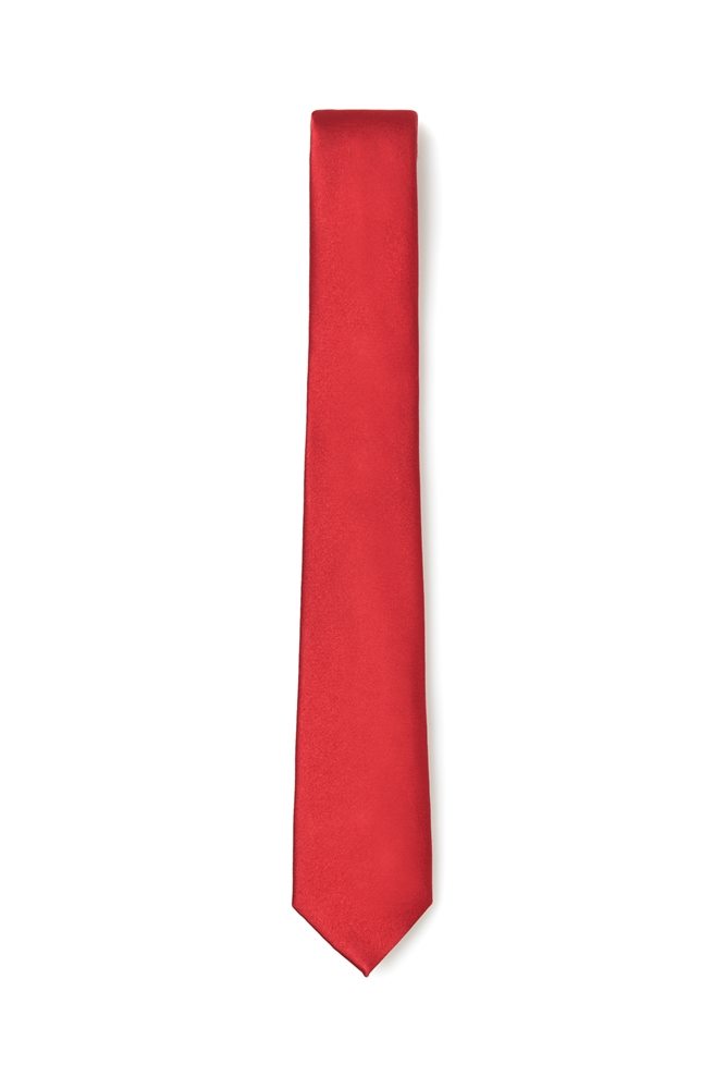Picture of Thin Red Tie